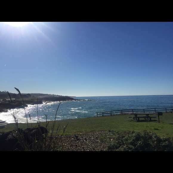 Meet your Posher, Dani - Picture 1 of 1